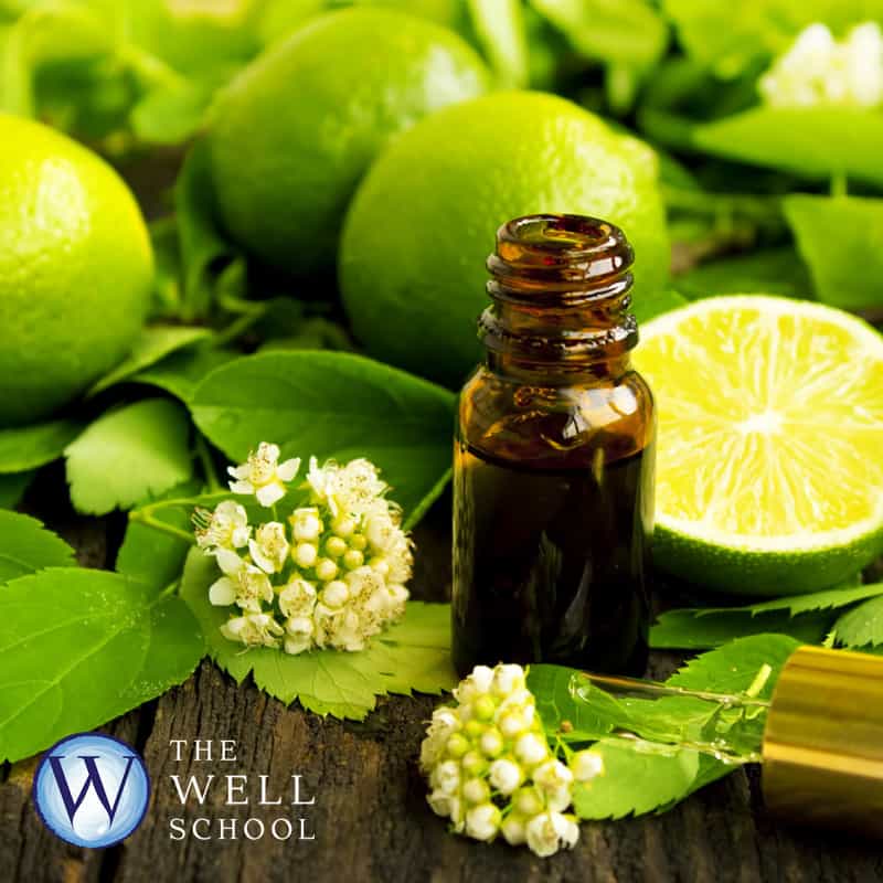 Free Introduction to Aromatherapy Course - Clinical Aromatherapy Courses