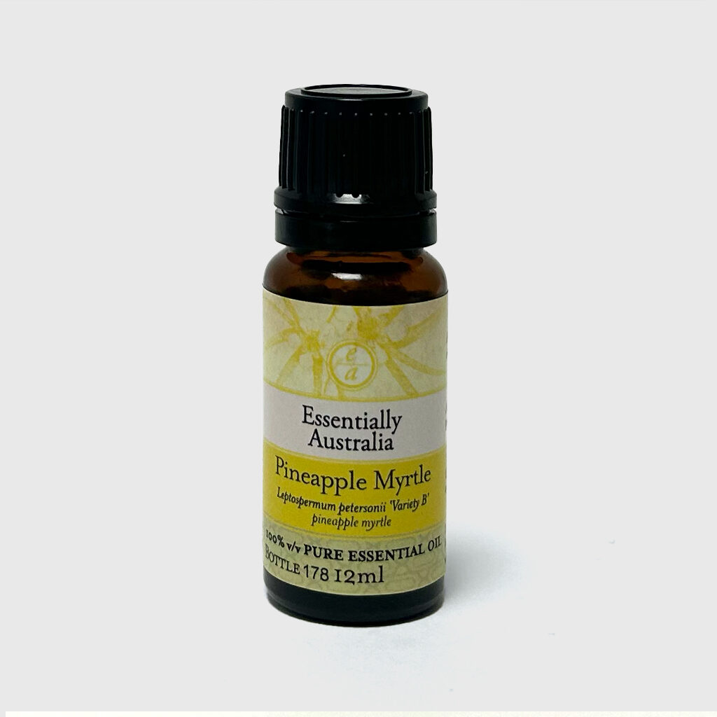 Global Exclusive】-Fast Shipping-Pineapple Myrtle Essential Oil
